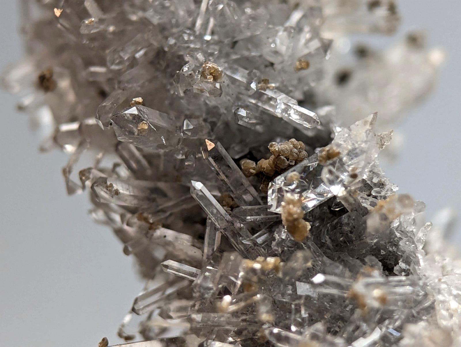 A cluster of transparent quartz crystals with golden uv reactive cookeite inclusions from jeffrey quarry arkansas