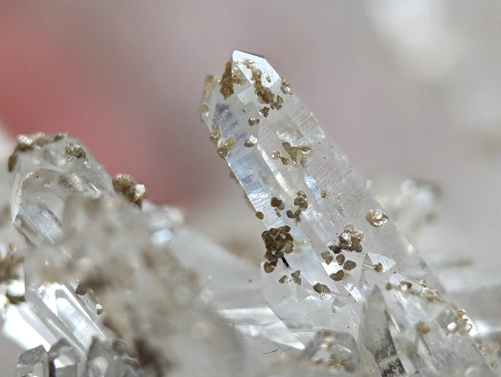 A clear quartz crystal cluster with golden uv reactive cookeite inclusions from jeffrey quarry arkansas rare