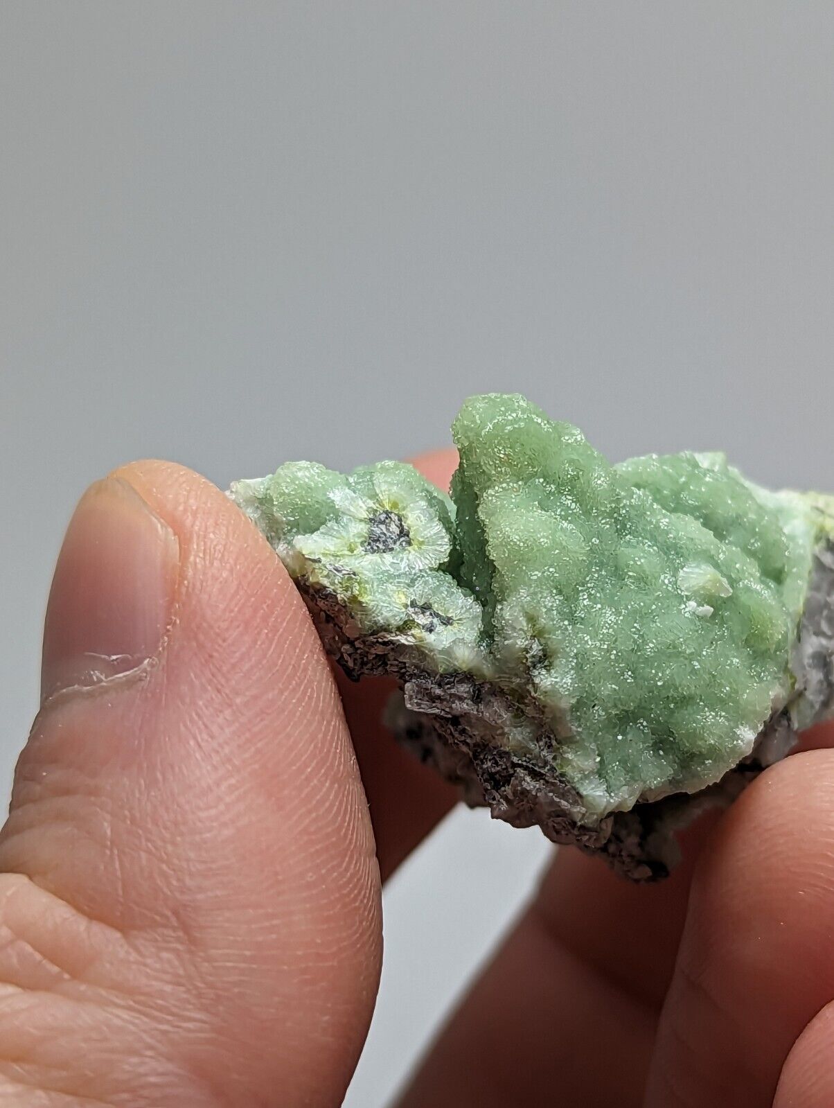 A + Sparkly Wavellite - Mauldin Mountain Arkansas - Collectibles:Rocks Fossils & Minerals:Crystals Mineral