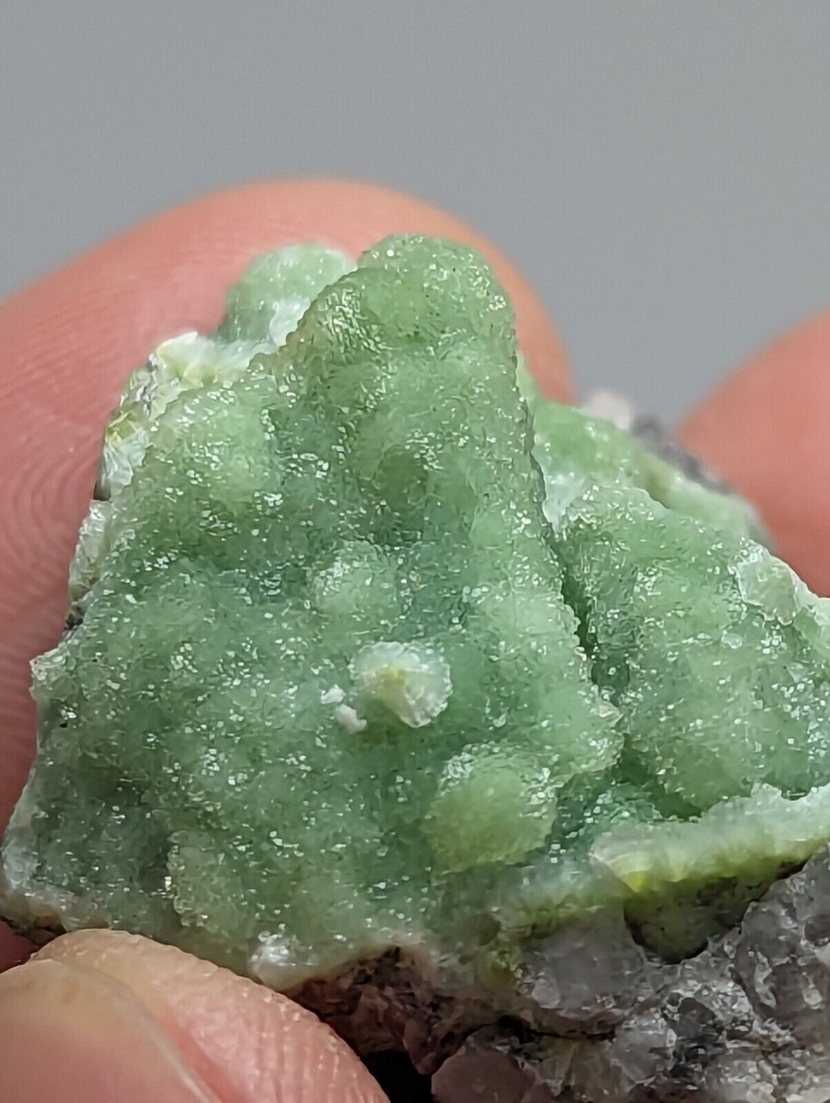 A + Sparkly Wavellite - Mauldin Mountain Arkansas - Collectibles:Rocks Fossils & Minerals:Crystals Mineral