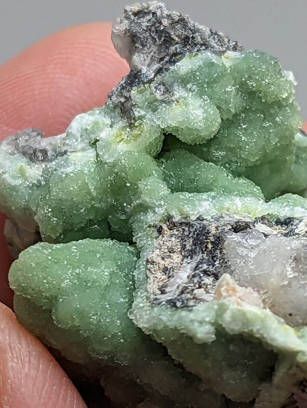 A + Sparkly Wavellite - Mauldin Mountain Arkansas - Collectibles:Rocks Fossils & Minerals:Crystals Mineral