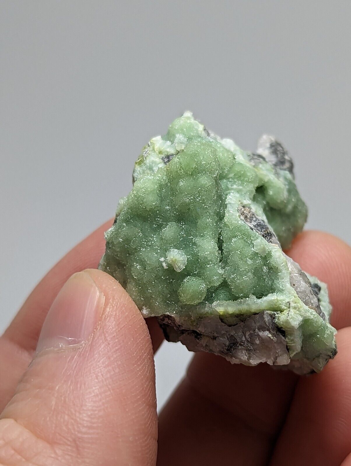 A + Sparkly Wavellite - Mauldin Mountain Arkansas - Collectibles:Rocks Fossils & Minerals:Crystals Mineral