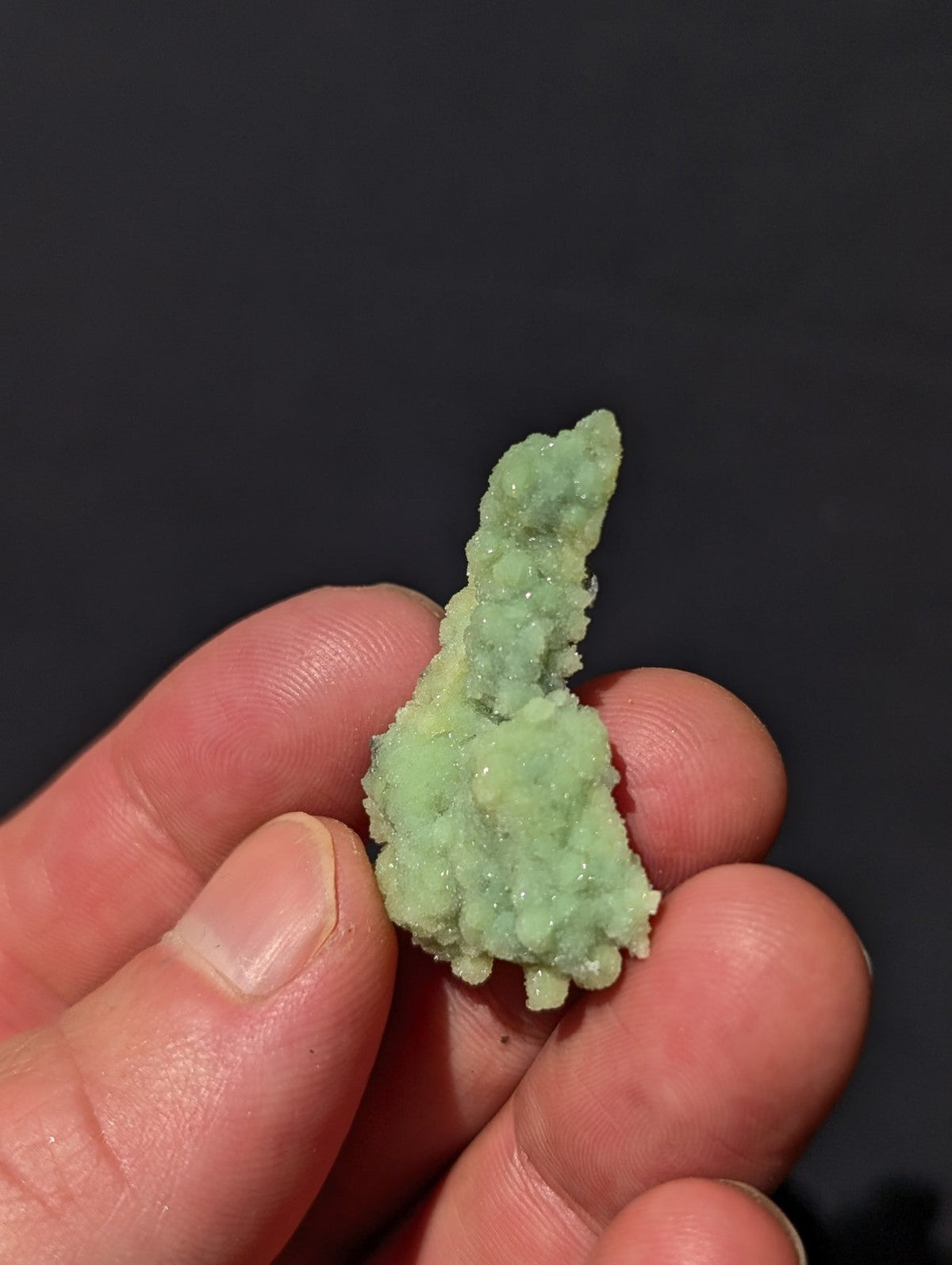 A delicate, pale green mineral specimen with a textured, crystalline surface.