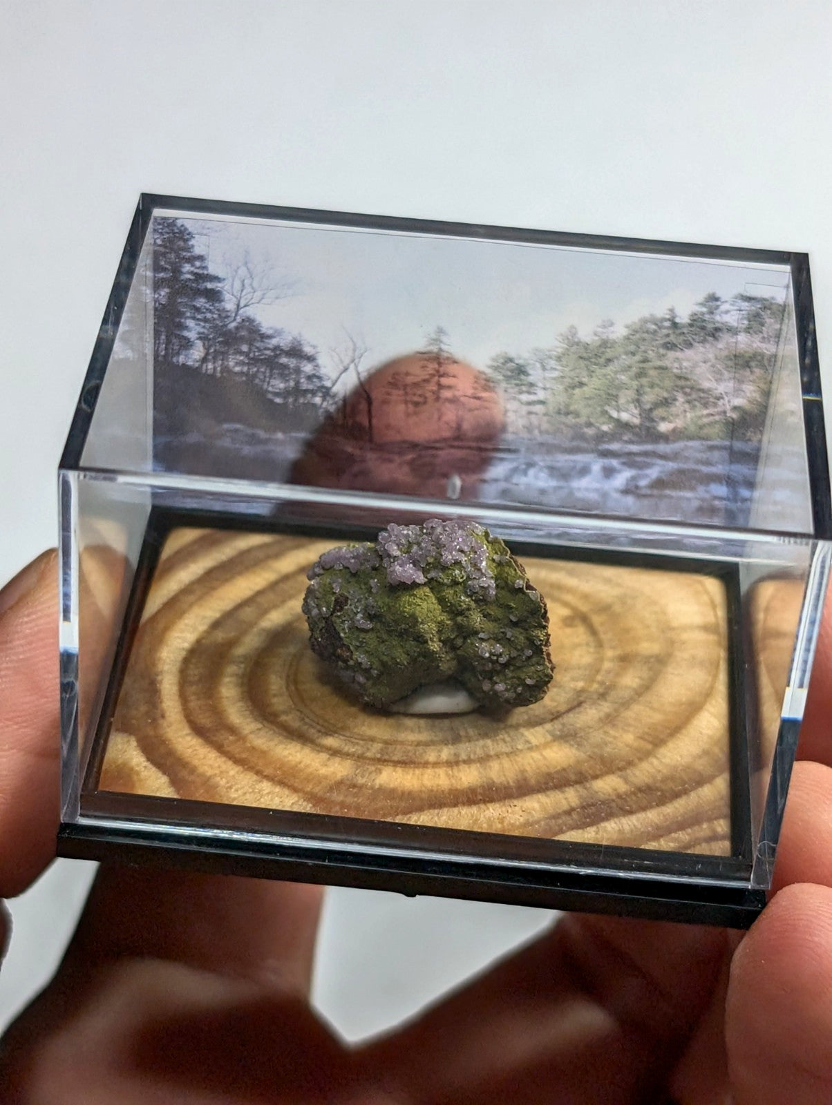 A mossy, textured mineral specimen with purple crystalline patches rests on a wooden base inside a clear acrylic display case.