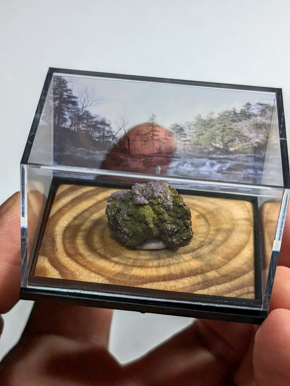 A mossy, textured mineral specimen with purple crystalline patches rests on a wooden base inside a clear acrylic display case.