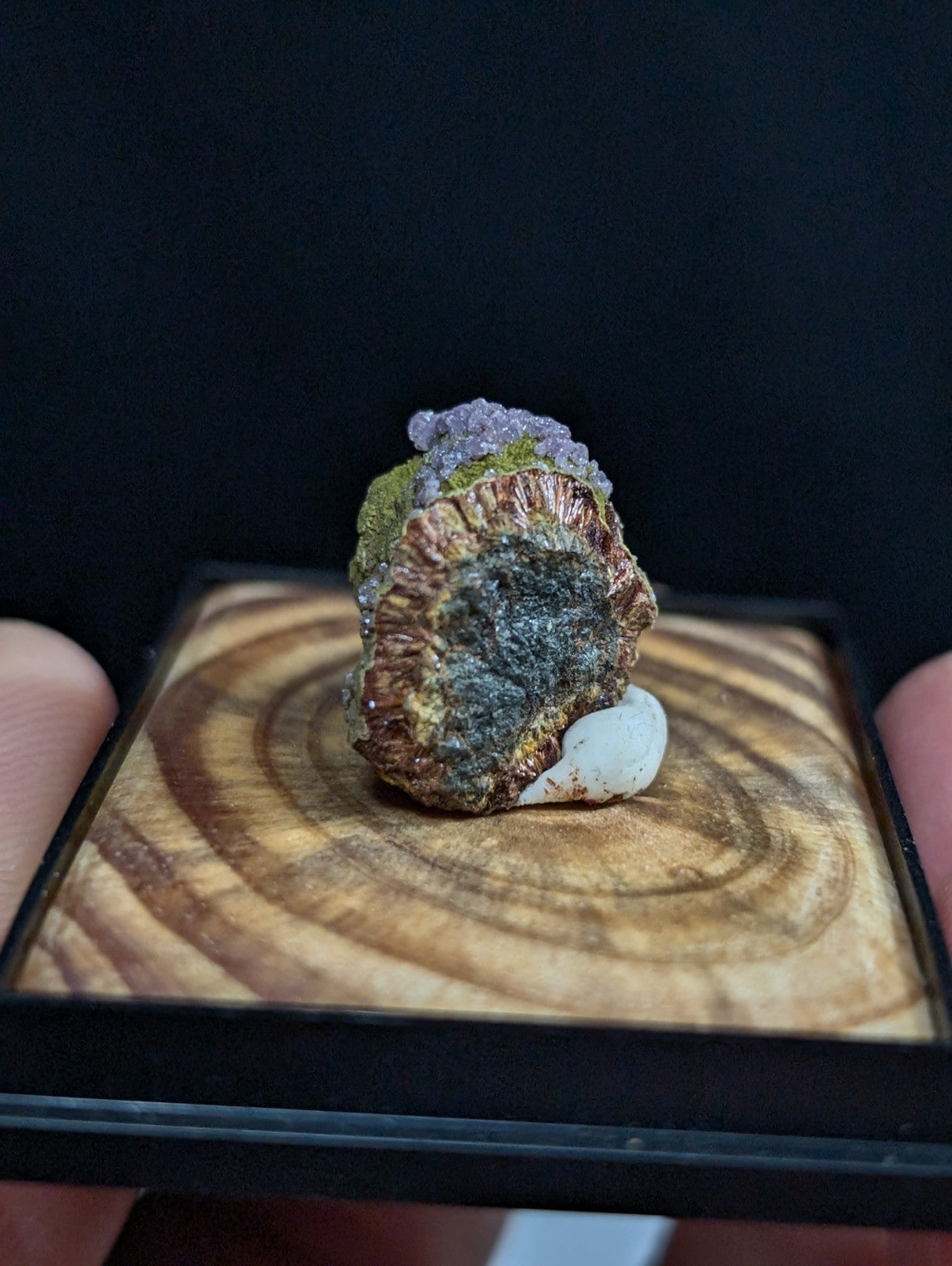 A textured mineral specimen with a dark, earthy base and vibrant purple crystalline formations atop green moss-like growths.