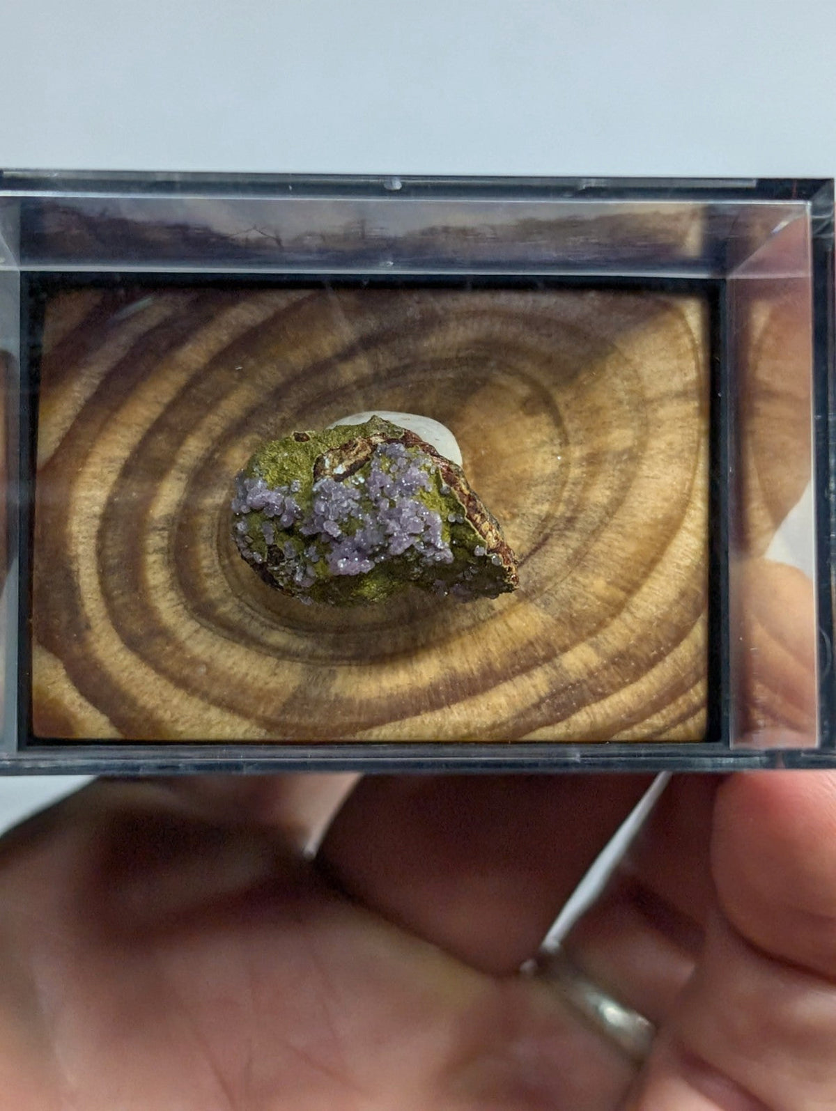 A purple and green mineral specimen displayed in a clear acrylic box.