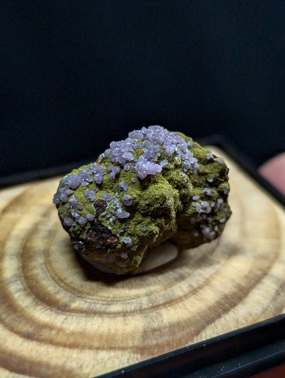 A mossy green mineral specimen adorned with delicate purple crystalline formations.