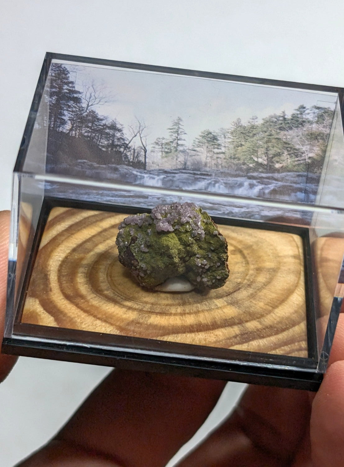 A mossy, textured mineral specimen with green and purple hues rests inside a clear acrylic display case.