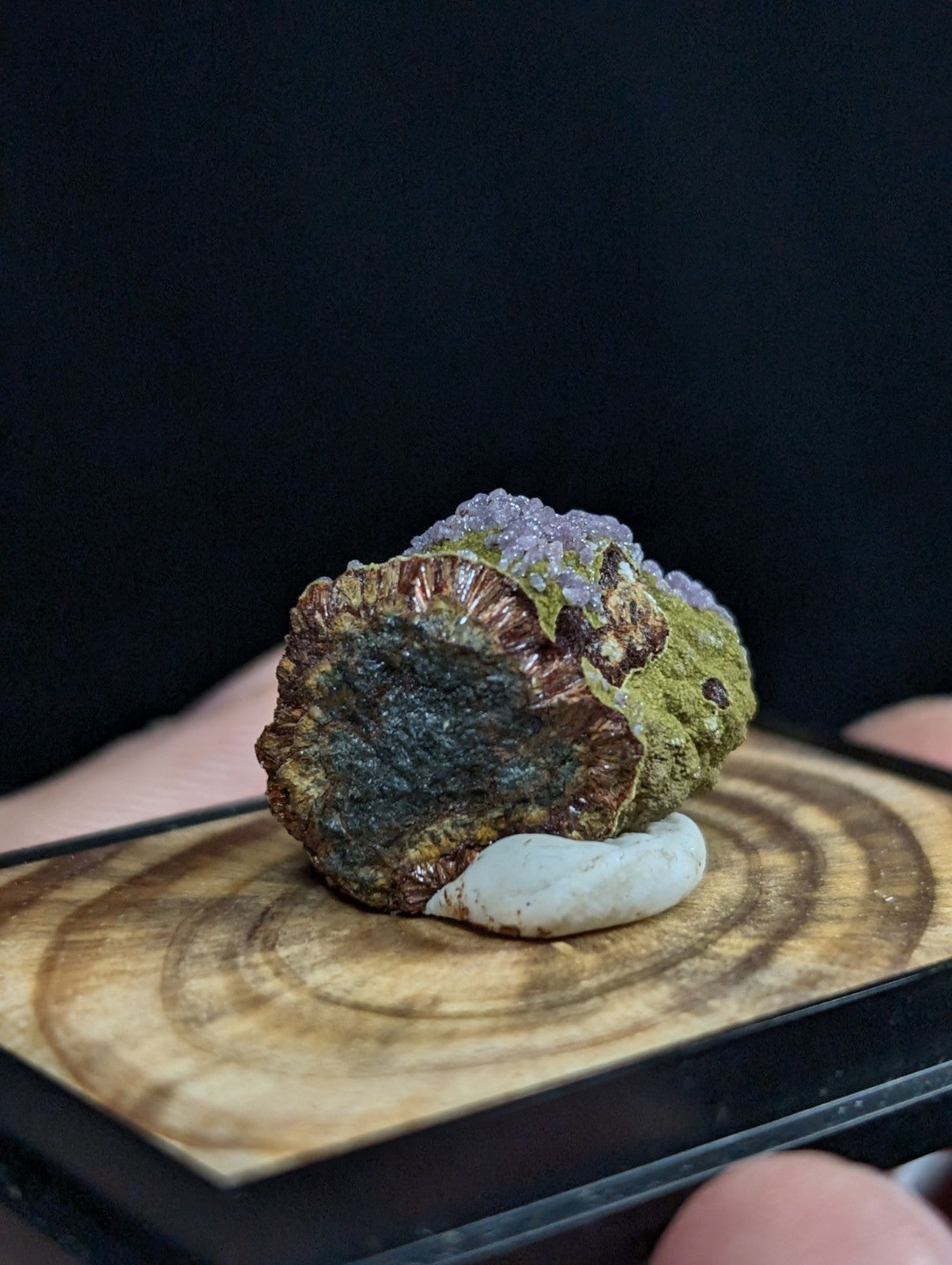 A textured, earthy mineral specimen with a dark interior and vibrant greenish-yellow outer layers, topped by delicate purple crystalline formations.