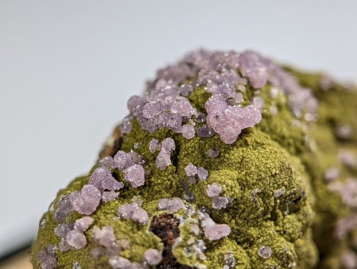 A vibrant green mineral specimen adorned with delicate, translucent lavender crystals.