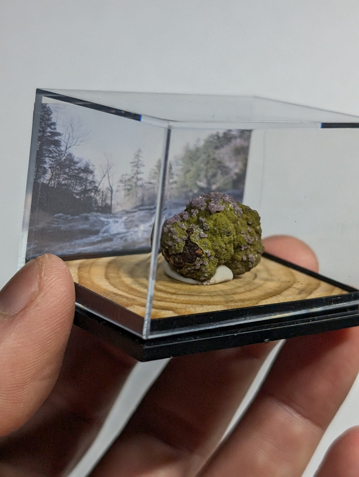 A mossy, textured mineral specimen with green and purple hues displayed in a clear acrylic display case.