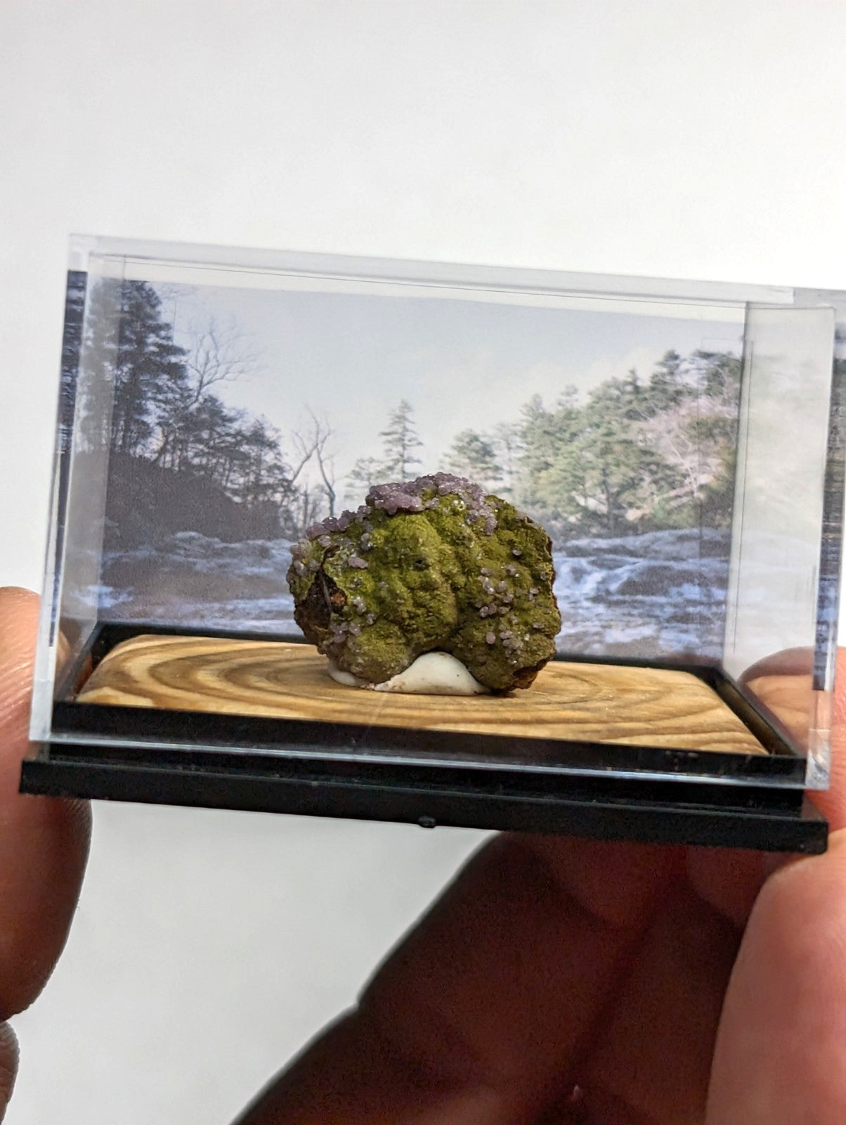 A mossy green and purple mineral specimen displayed in a clear acrylic display case with a wooden base.