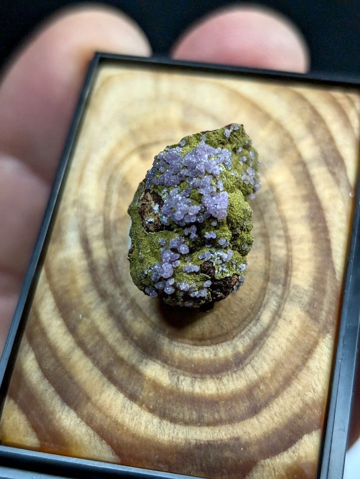 A mossy green and purple mineral specimen with crystalline formations, displayed in a square wooden frame.