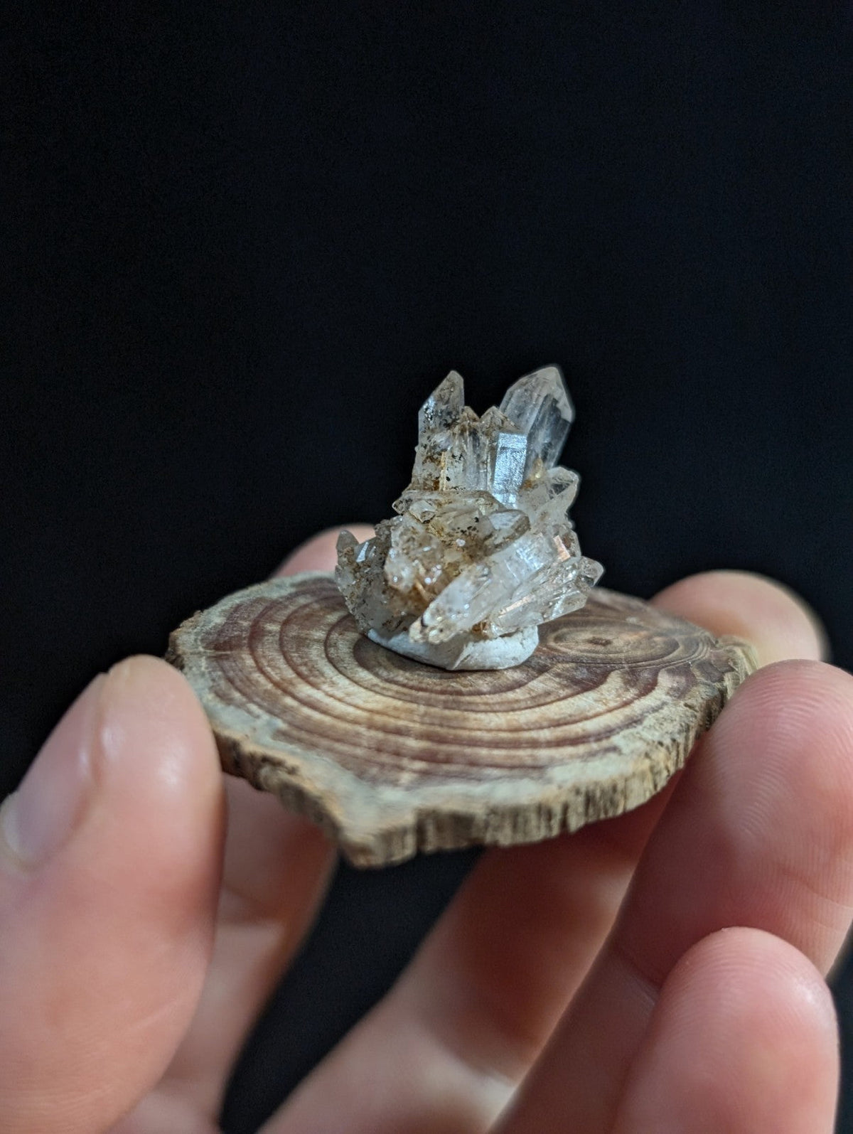 A translucent pale blue tabby quartz crystal cluster on a rustic wooden base from garland county arkansas