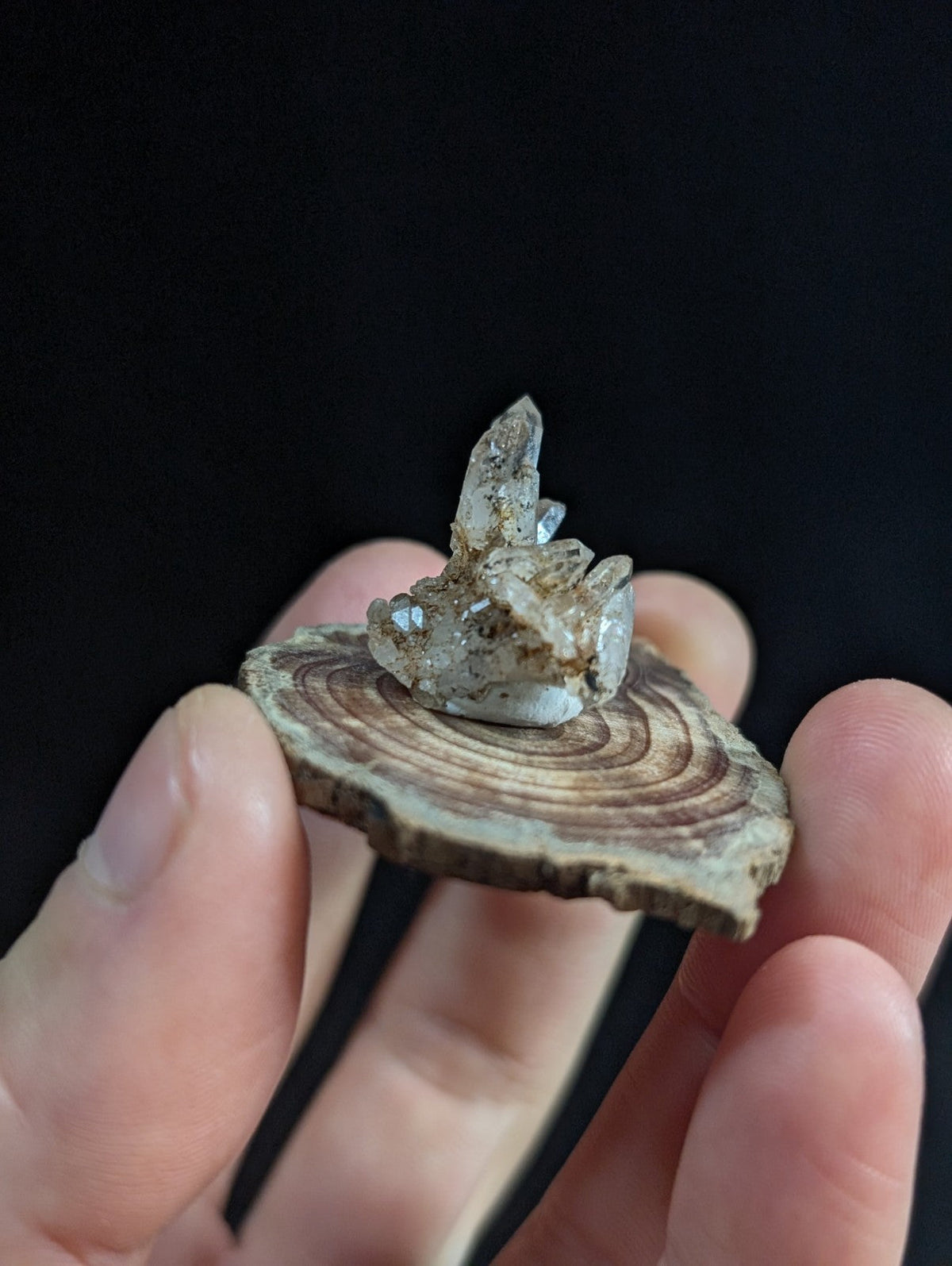 A delicate translucent tabby quartz crystal cluster with subtle gray veining on a rustic wooden base from garland county arkansas
