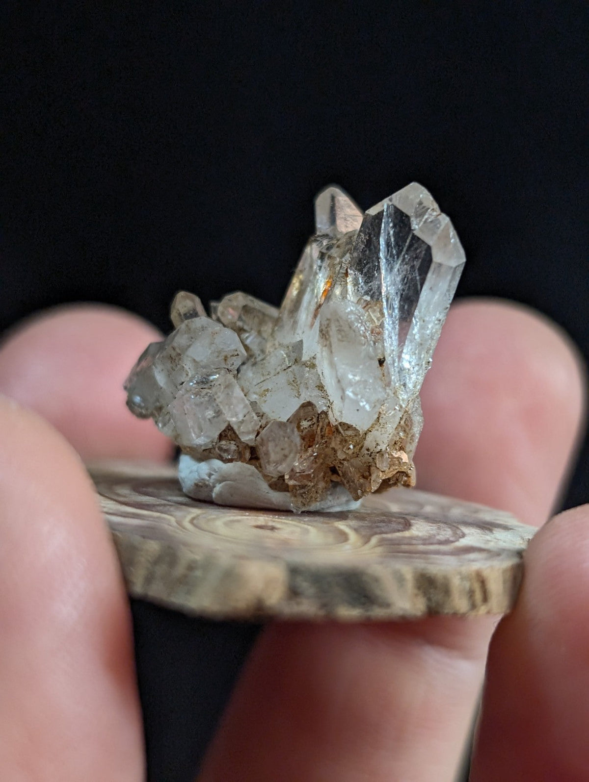 A clear quartz crystal cluster with sharp faceted points on a circular wooden base from garland county arkansas