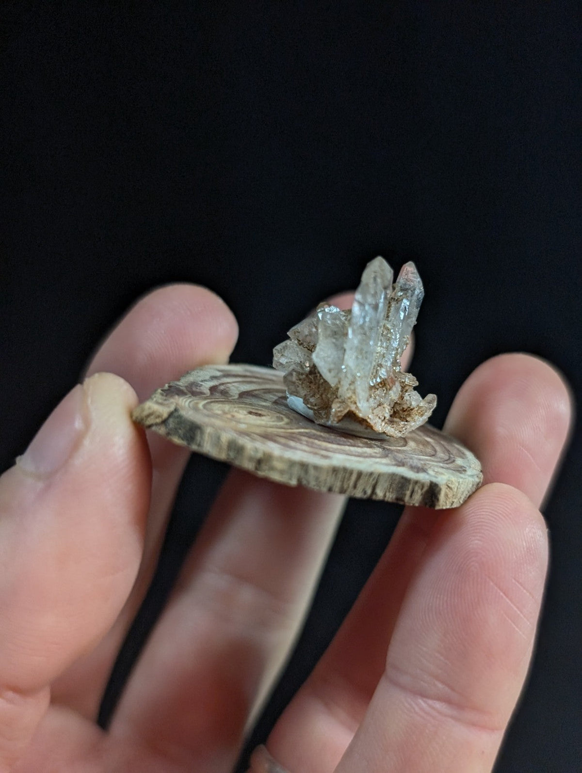A delicate translucent a+ tabby quartz crystal cluster in white rests on a rustic wooden slice base from arkansas