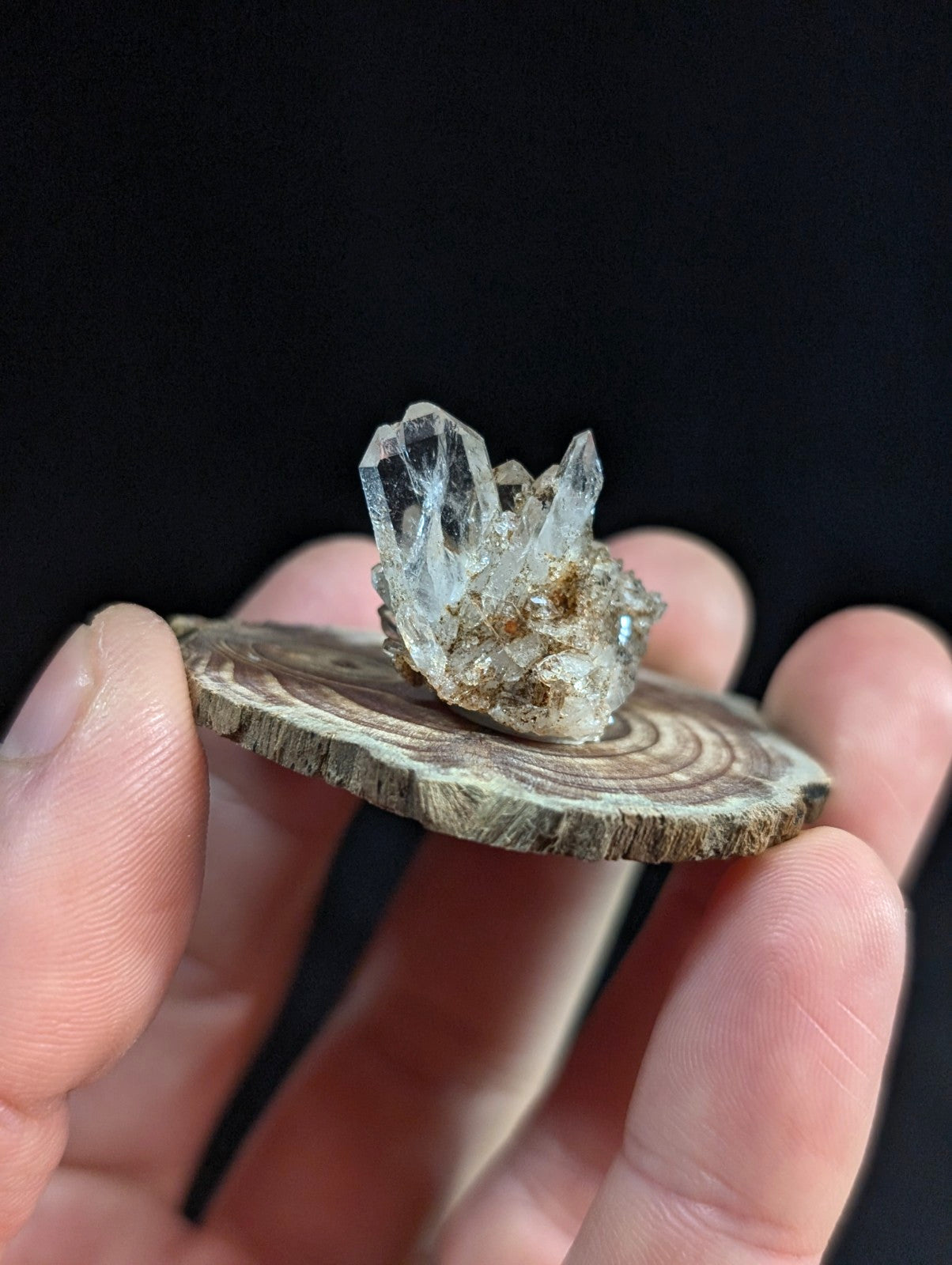 A clear white quartz crystal cluster from garland county arkansas resting on a rustic wooden base slice