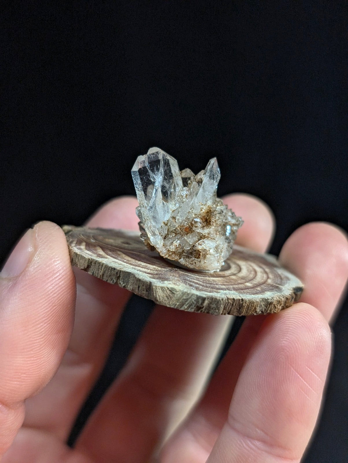 A clear white quartz crystal cluster from garland county arkansas resting on a rustic wooden base slice
