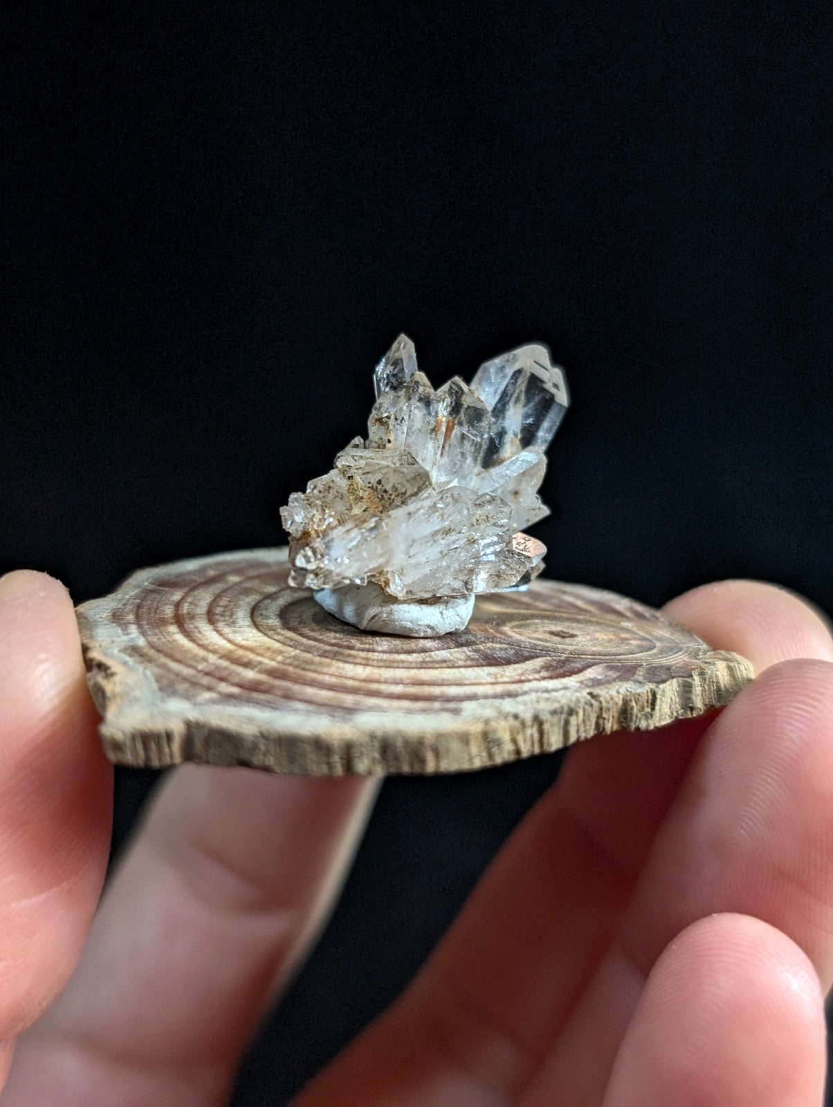 A clear faceted tabby quartz crystal cluster with golden inclusions on a rustic wooden base from Garland County Arkansas