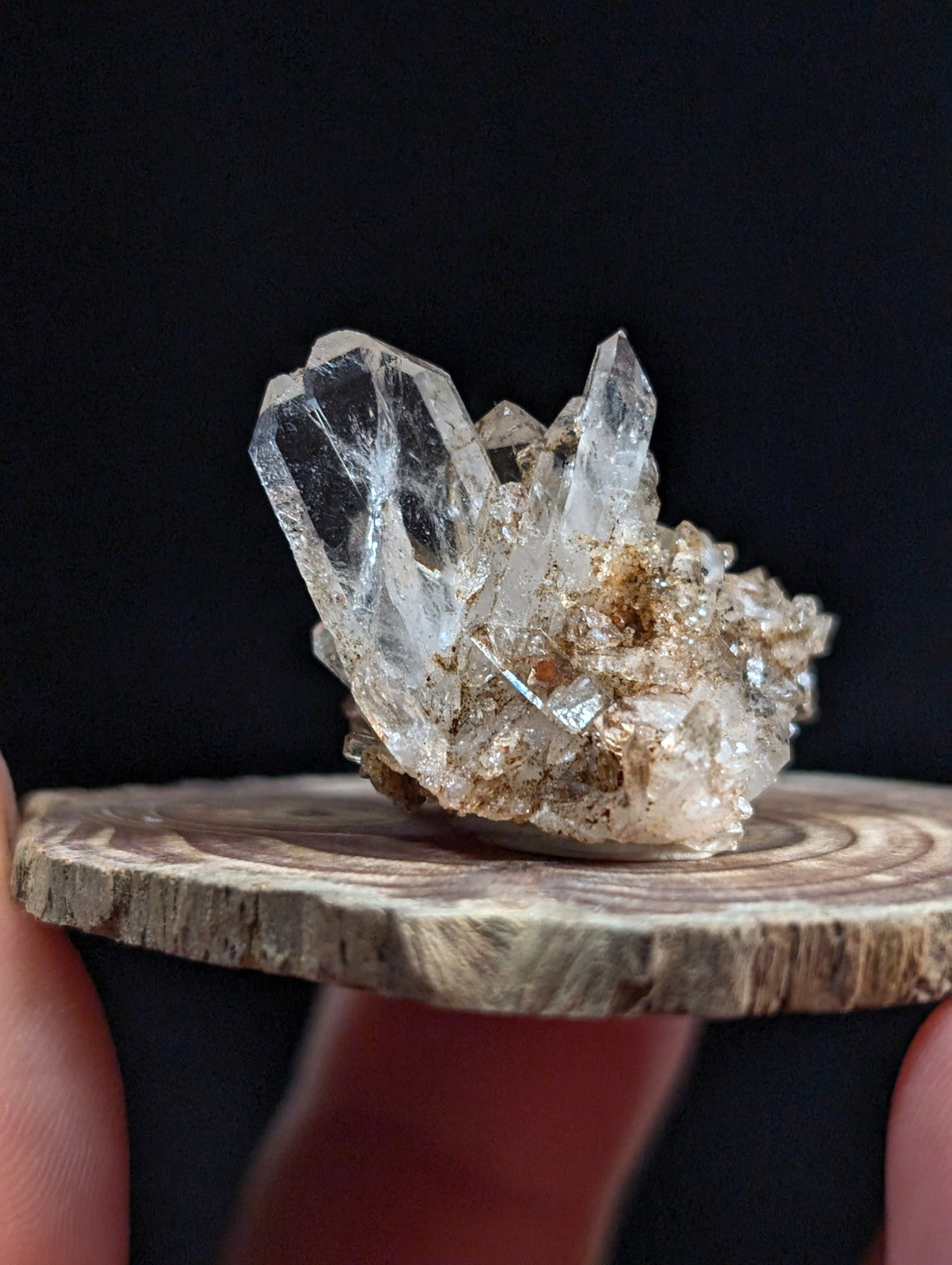 A clear quartz crystal cluster with sharp faceted points and rough base on a wooden slice from garland county arkansas