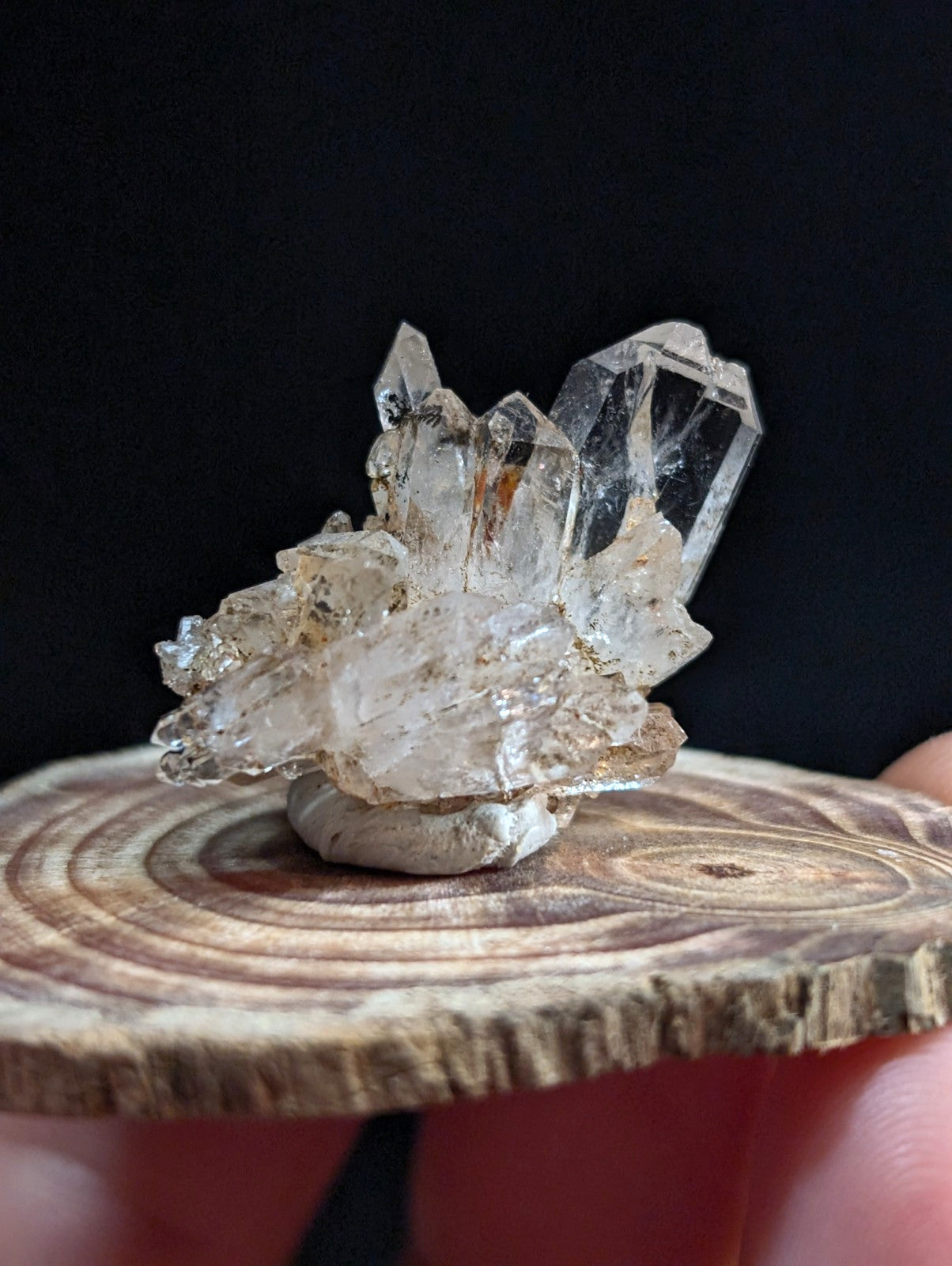 A+ tabby quartz crystal cluster with sharp faceted translucent points on a rustic wooden slice base from arkansas