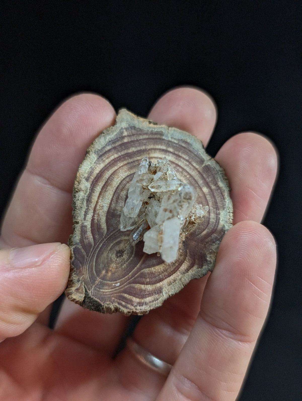 A hand holds a rustic wooden slice with concentric rings and clear tabby quartz crystal cluster from Arkansas