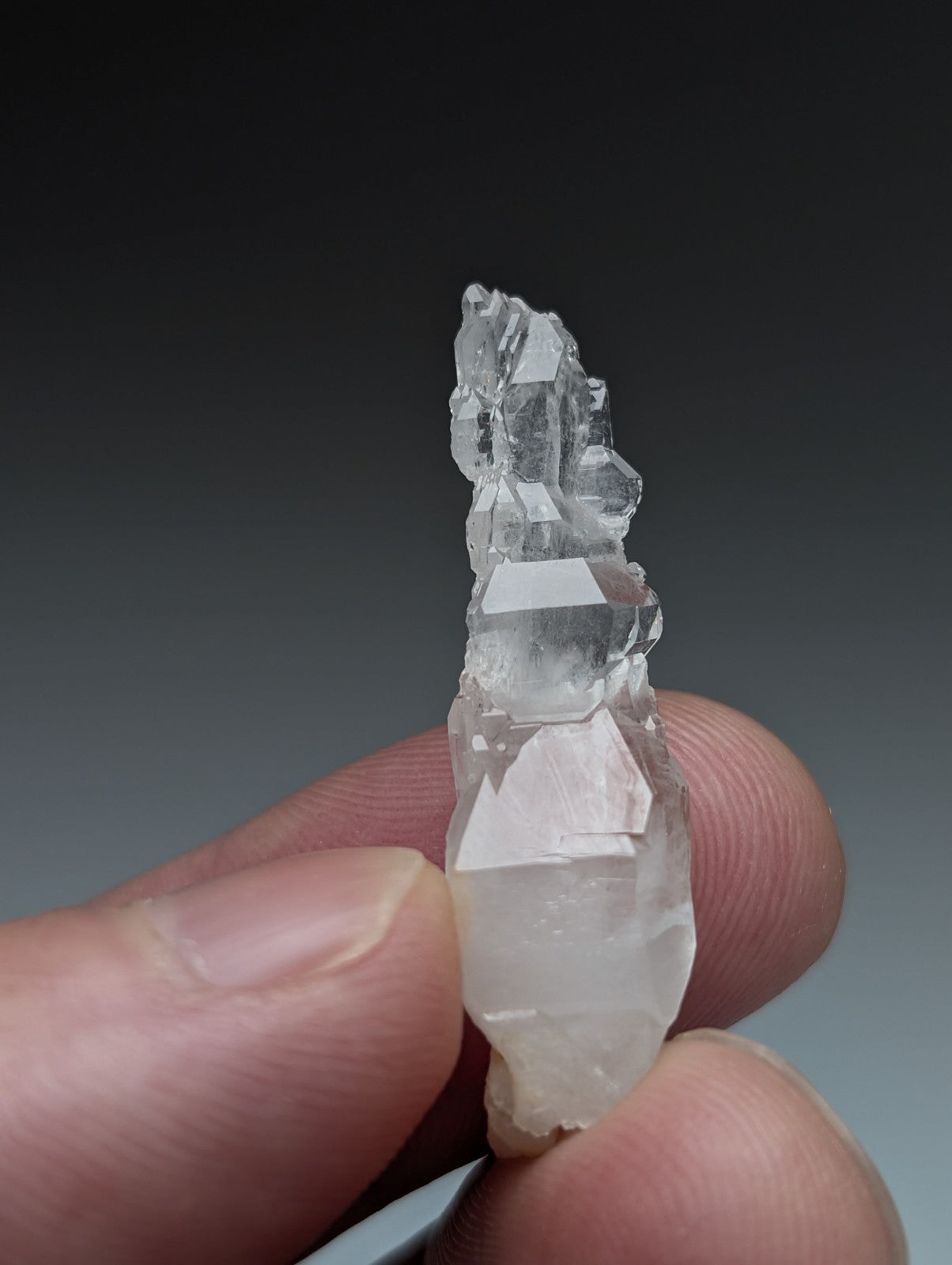 A+ unique clear quartz crystal cluster with sharp facets and milky base from old stock garland county arkansas usa