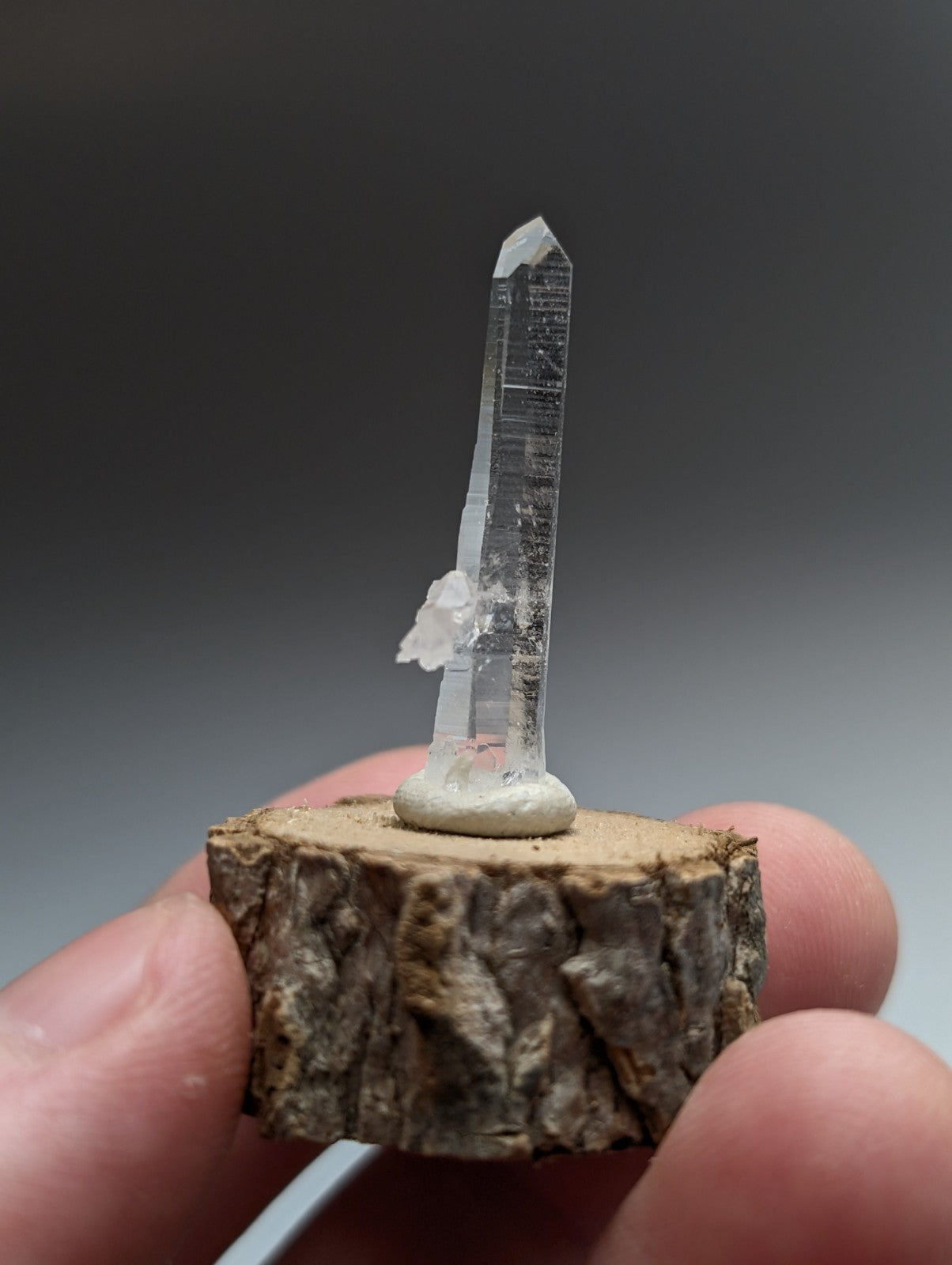A clear quartz crystal with a pointed tip and visible striations on a natural wood base from garland county arkansas