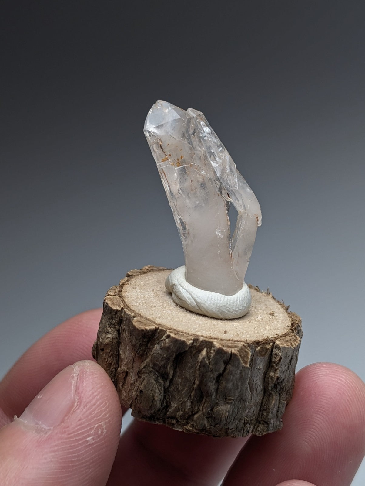 A clear faceted quartz crystal with white resin band mounted on a natural rustic wood base from garland county arkansas