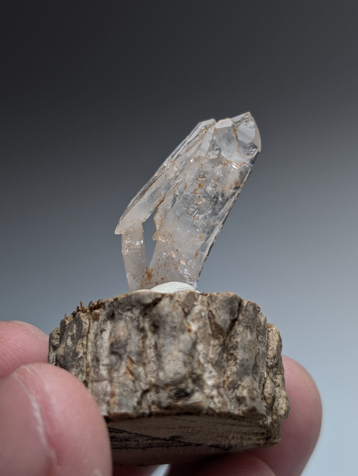 A clear quartz crystal with a pointed tip and natural inclusions mounted on a rough wood base from garland county arkansas