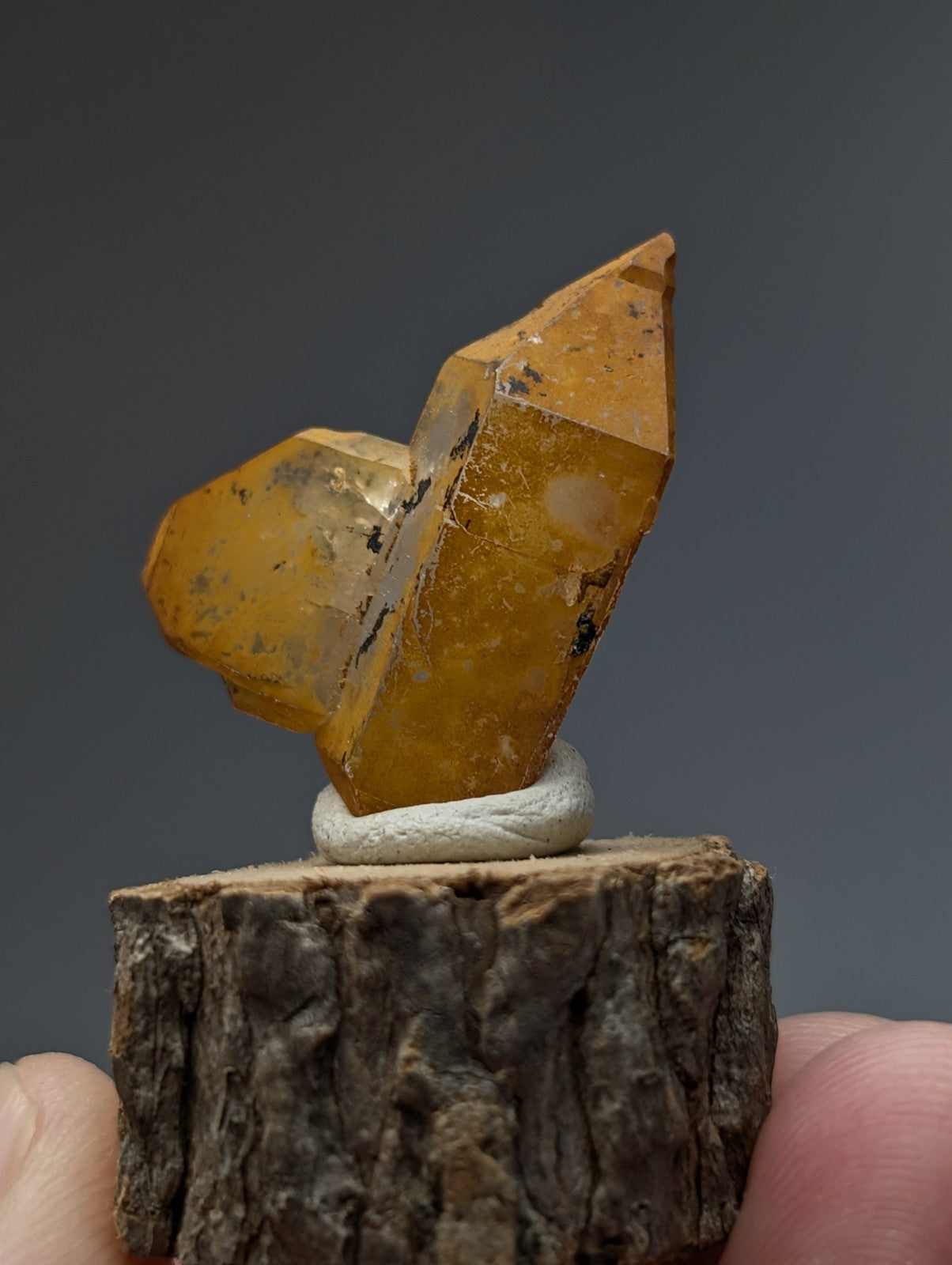 A translucent golden-yellow citrine crystal cluster with sharp facets on a natural wood base from garland county arkansas