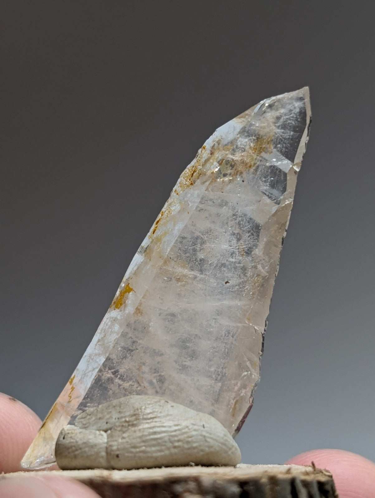 A+ unique translucent quartz crystal with golden inclusions on a natural wood base from Garland County Arkansas