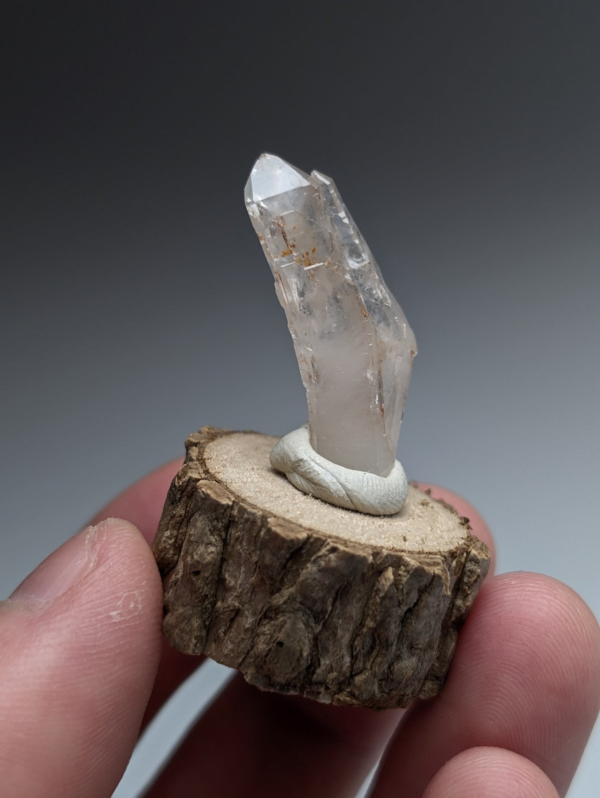 A clear quartz crystal with golden inclusions mounted on a rustic natural wood slice base from garland county arkansas