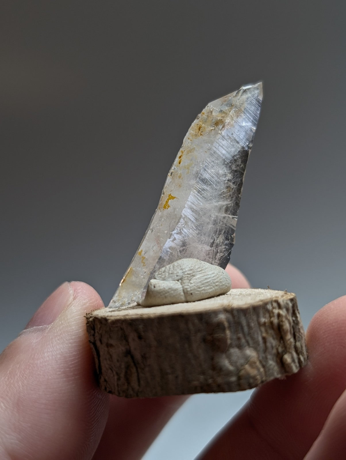 A+ unique translucent clear quartz crystal with golden inclusions on a natural wood base from garland county arkansas