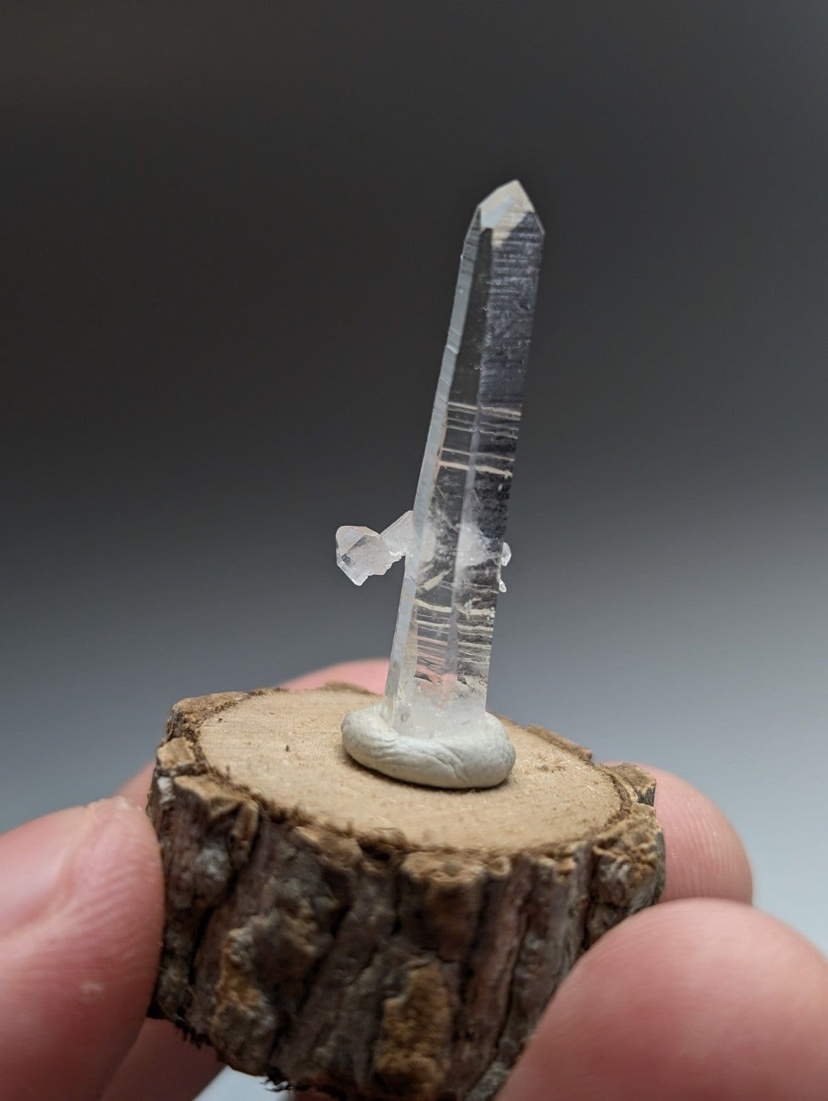 A clear quartz crystal with pointed tip and internal striations on a natural wood base from Garland County Arkansas