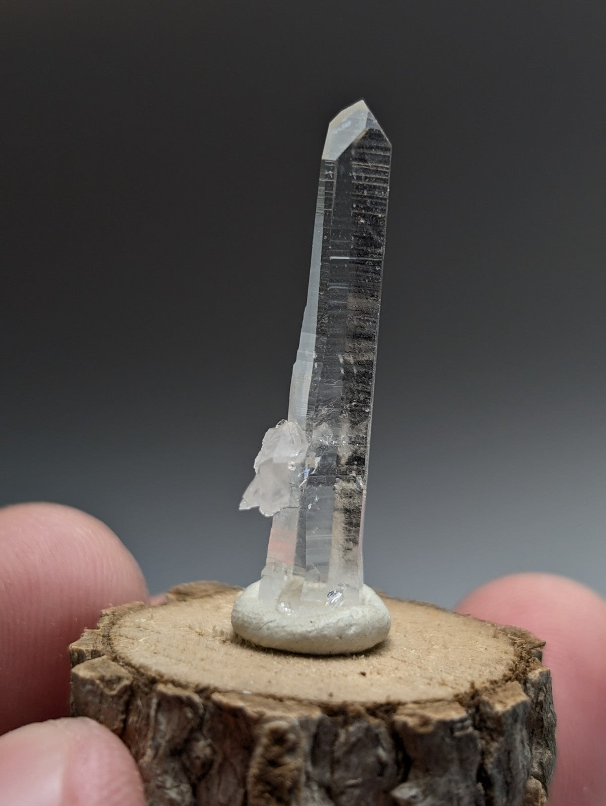 A clear quartz crystal with pointed tip and internal striations on a natural wood base from Garland County Arkansas