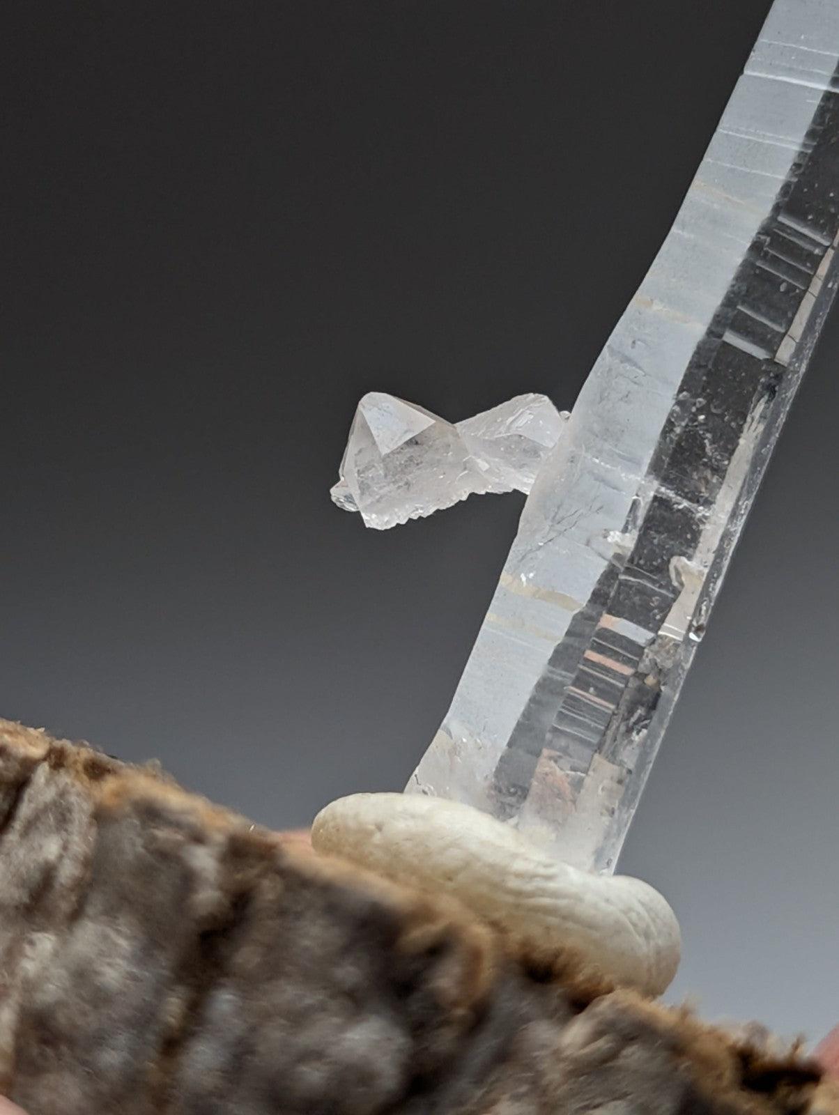 A clear translucent quartz crystal with pointed tip and layered striations on a natural wood base from Arkansas