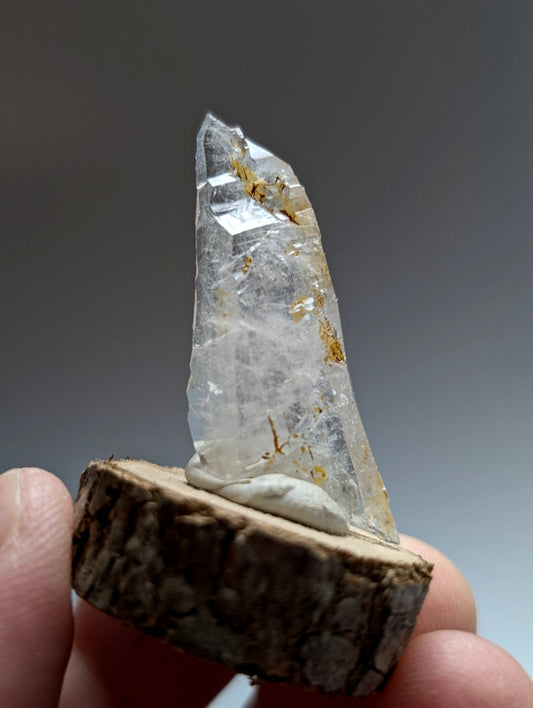 A translucent clear quartz crystal with golden inclusions standing upright on a natural wood base from Arkansas