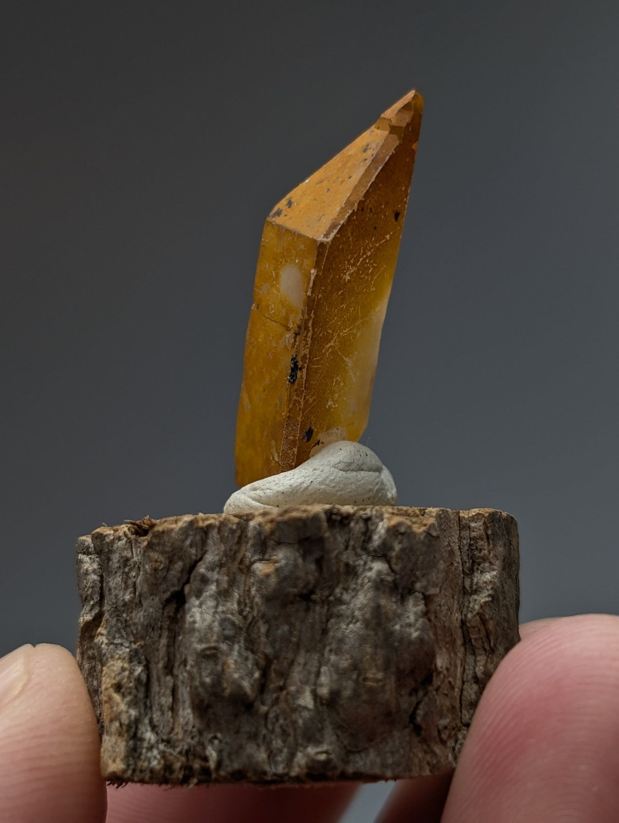 A+ unique quartz crystal with a translucent amber color and sharp point on a natural wood base from garland county arkansas