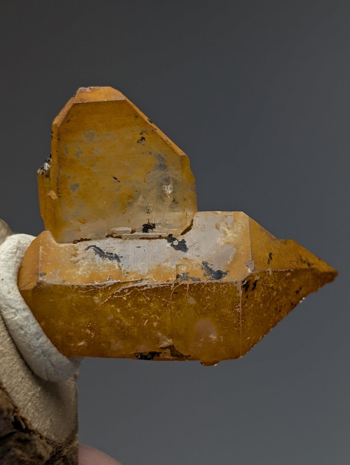 A translucent golden-yellow citrine crystal with natural imperfections on a natural wood base from garland county arkansas