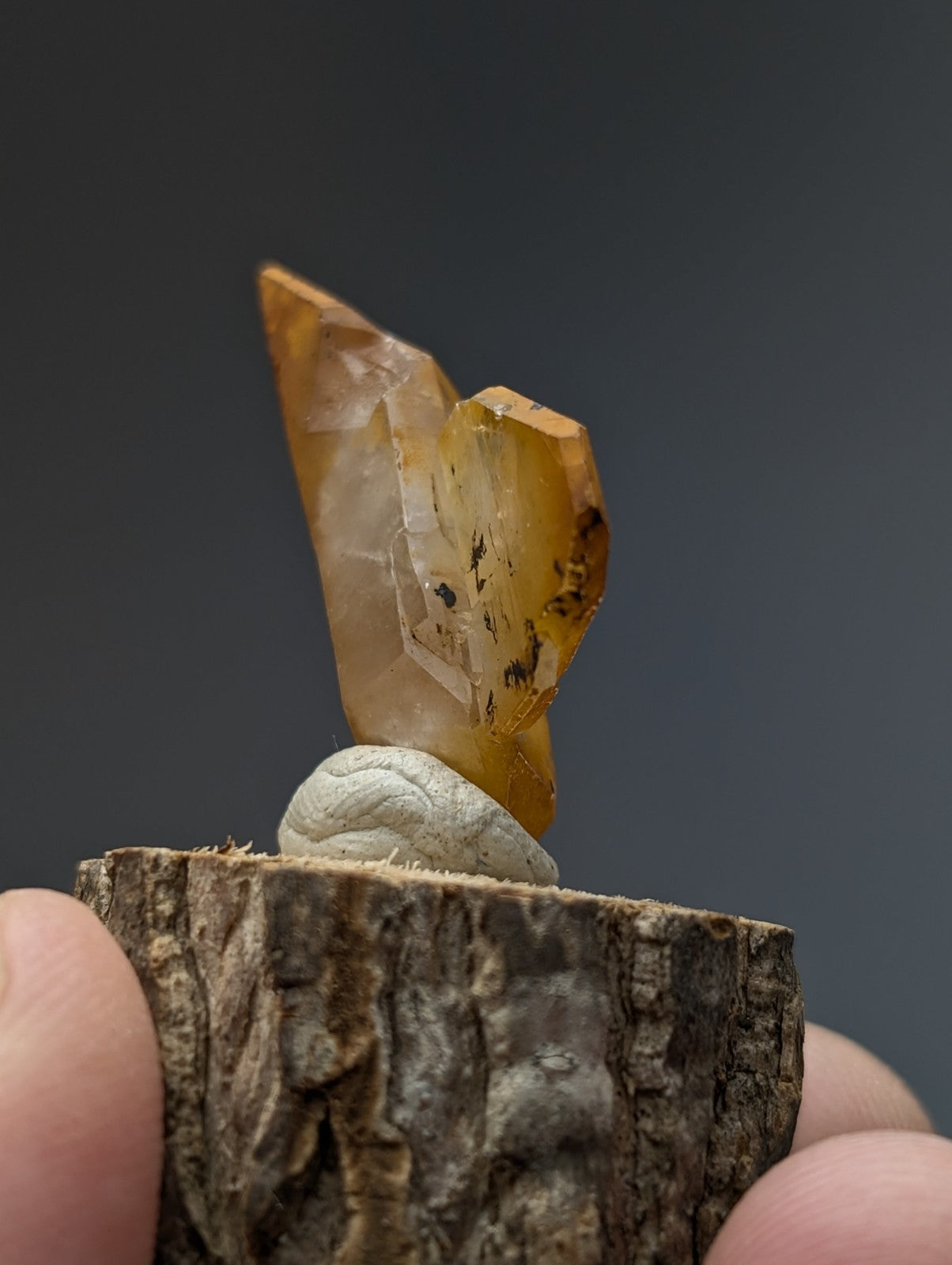 A unique translucent amber-colored quartz crystal with subtle inclusions on a natural wood base from garland county arkansas