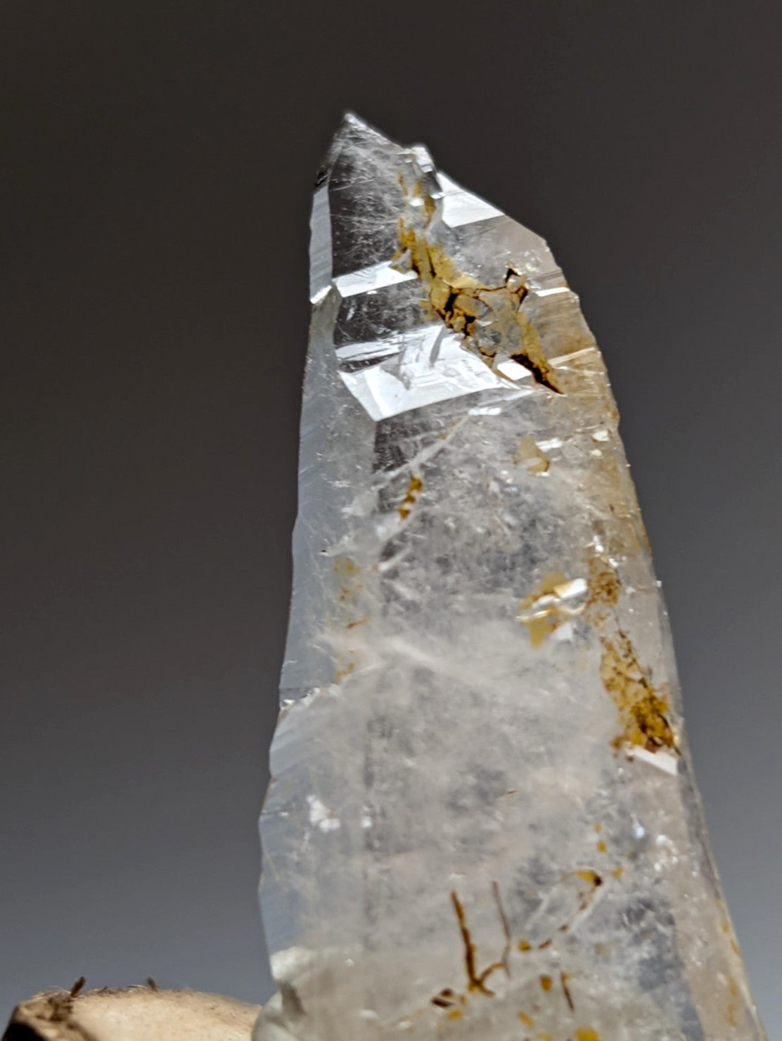 A+ unique clear quartz crystal with golden brown inclusions and pointed tip on natural wood base from garland county arkansas