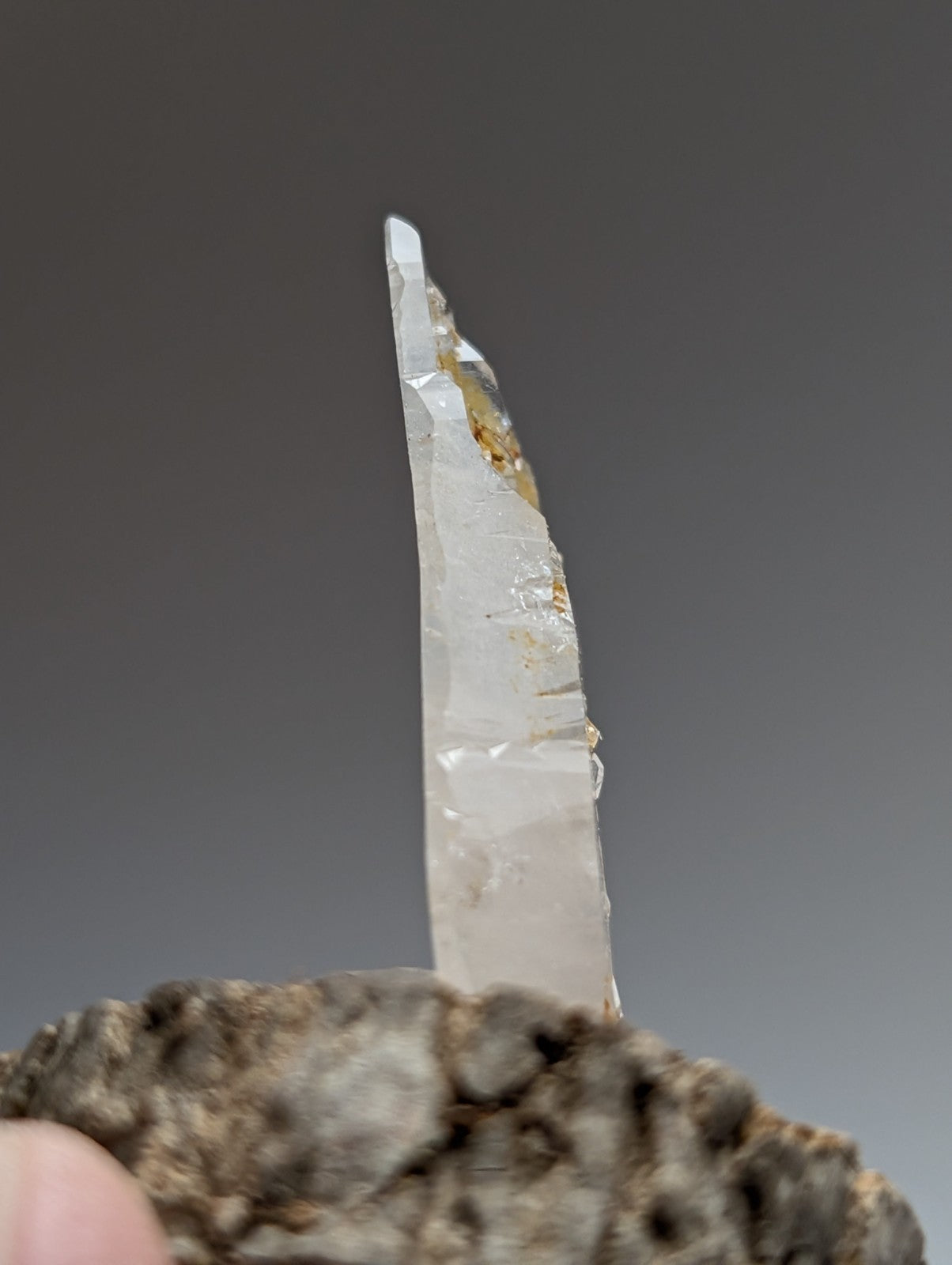 A translucent clear quartz crystal with subtle inclusions on a natural wood base from old stock garland county arkansas