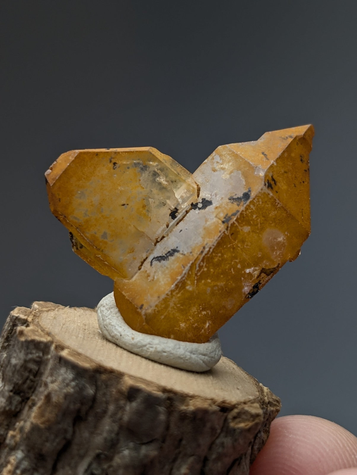 A translucent golden-yellow citrine crystal cluster with natural inclusions on a natural wood base from garland county arkansas
