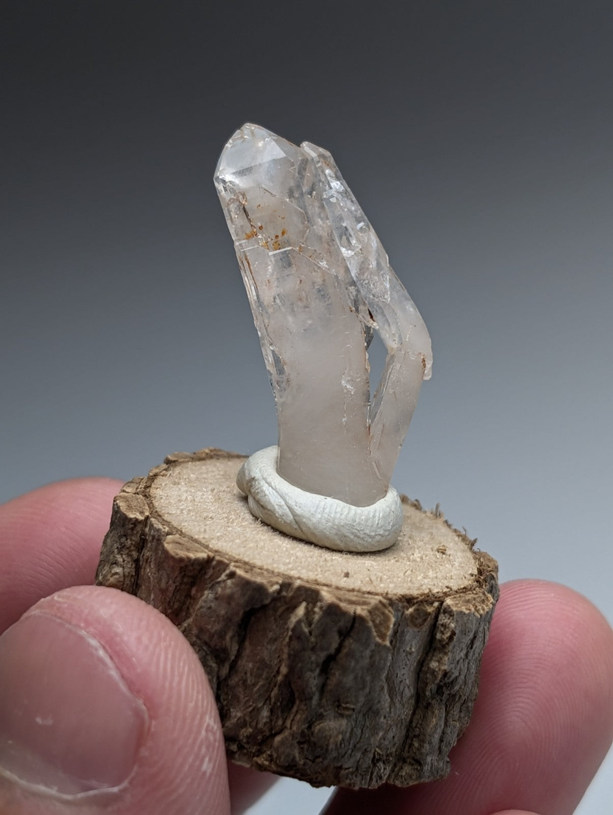 A clear translucent quartz crystal with natural facets on a natural wood base from Garland County Arkansas