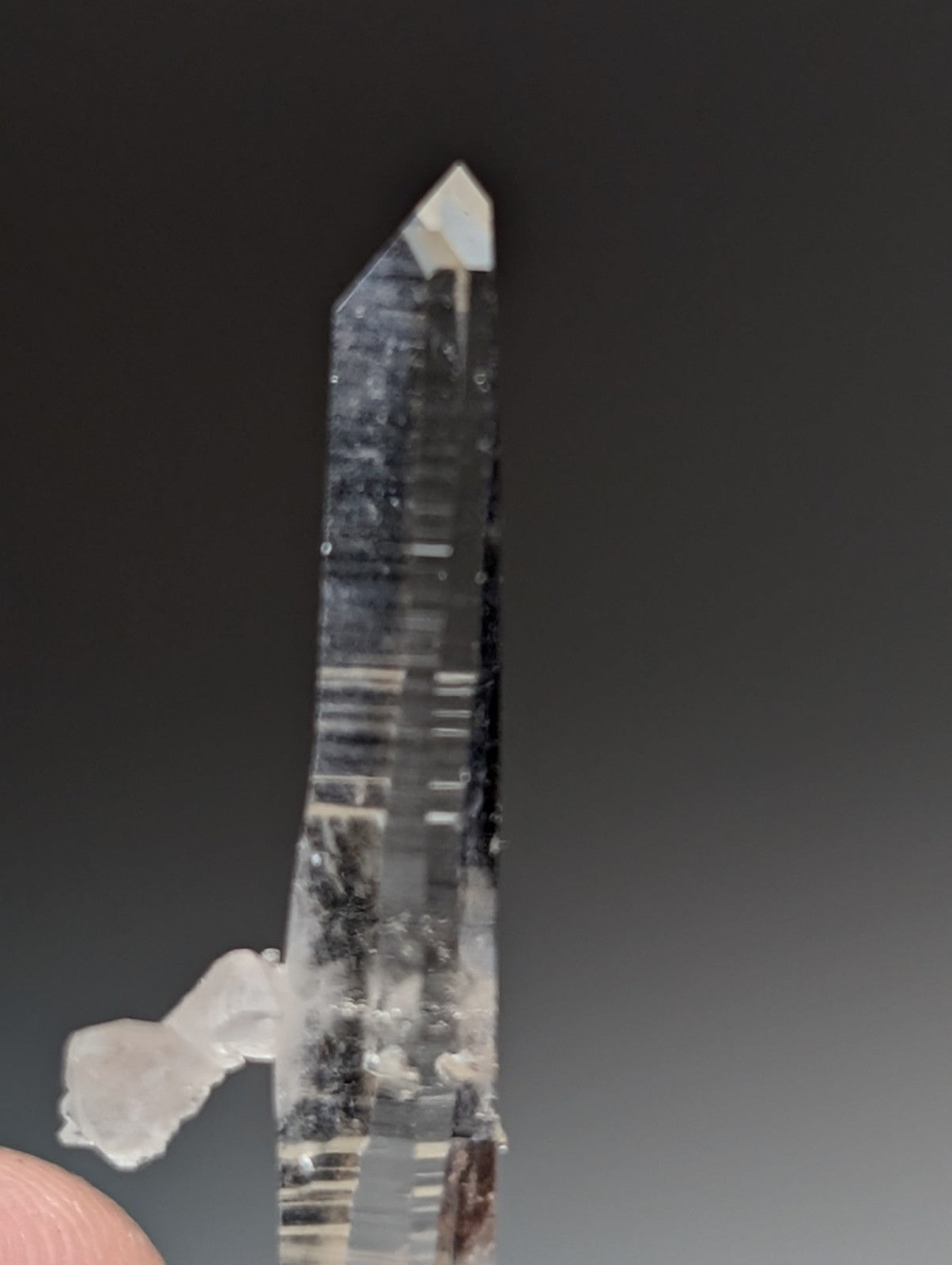 A clear quartz crystal with pointed tip and internal striations from garland county arkansas on natural wood base