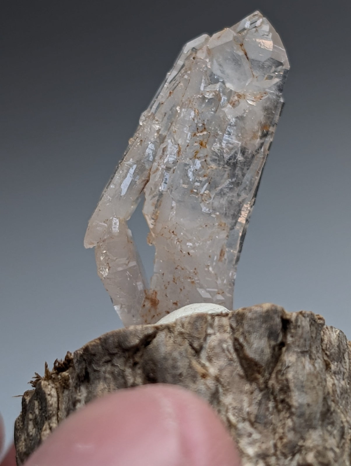 A+ unique clear quartz crystal with internal inclusions and pointed tip on rough rock natural wood base from arkansas