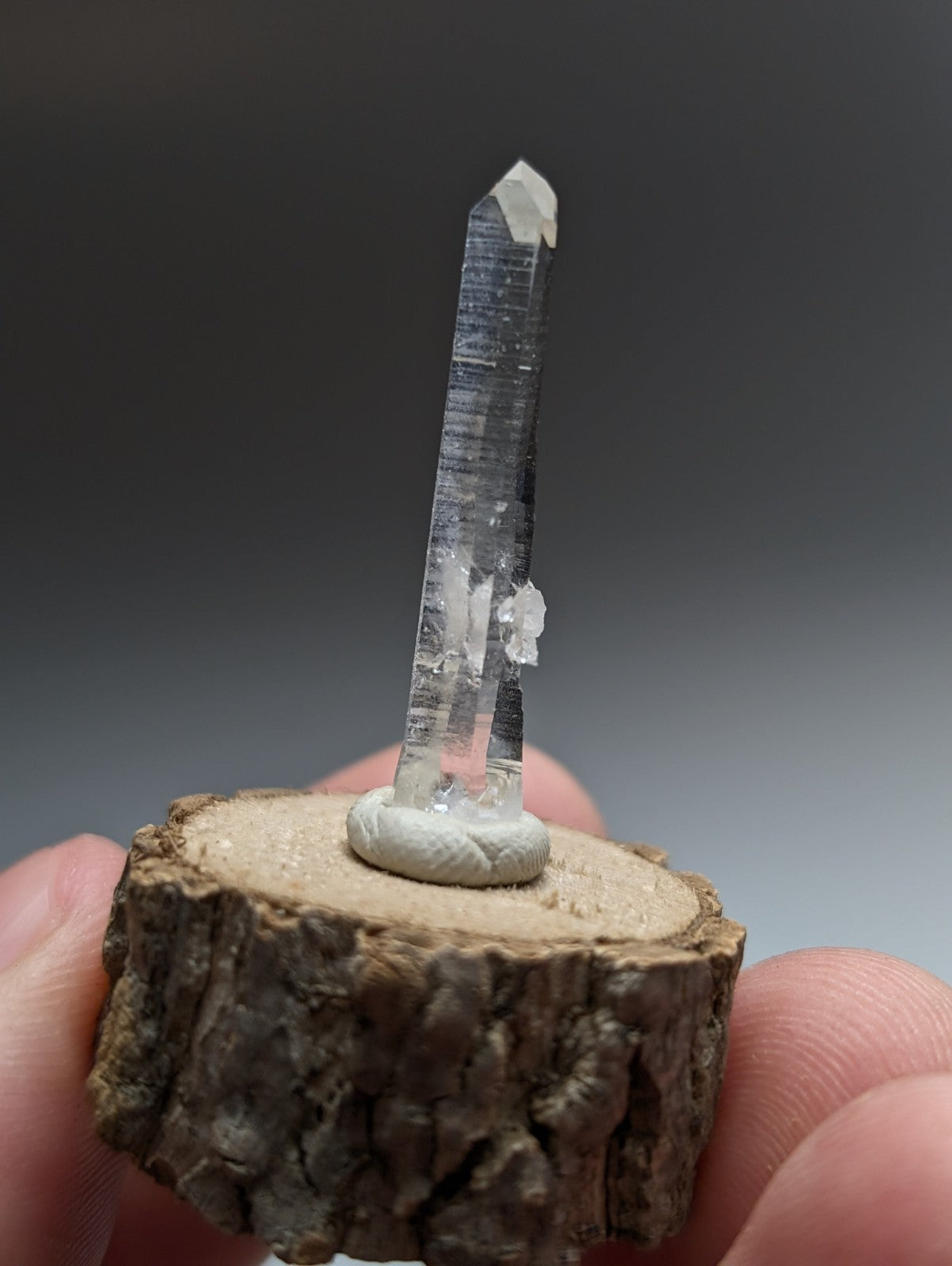 A clear quartz crystal with pointed tip and internal striations on a natural wood base from garland county arkansas